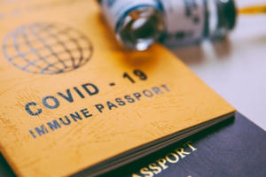 Việt Nam tạm thời công nhận ‘hộ chiếu vaccine’ của 72 quốc gia, vùng lãnh thổ