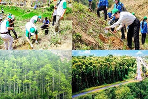 Ðiều kiện sản xuất, kinh doanh giống cây trồng lâm nghiệp