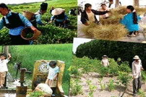 Tỷ lệ các xã thoát khỏi tình trạng đặc biệt khó khăn rất thấp