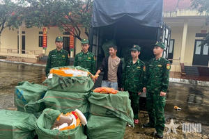 Quảng Ninh: Bắt giữ hơn 1,1 tấn trứng gà non không rõ nguồn gốc Quảng Ninh: Bắt giữ hơn 1,1 tấn trứng gà non không rõ nguồn gốc