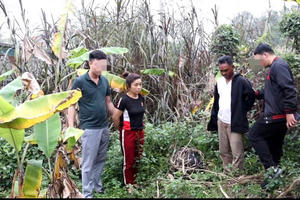 Triệt phá đường dây ma túy xuyên quốc gia từ Kon Tum ra Quảng Ninh tiêu thụ