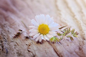 Tĩnh lặng trước những lời không hay: Nghệ thuật sống giữa đời xô bồ