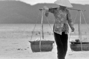 Chiếc đòn gánh tre trong tiềm thức Việt