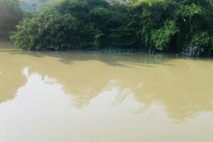 Đồng Nai: Xử phạt doanh nghiệp xả thải gây ô nhiễm dòng sông Buông Đồng Nai: Xử phạt doanh nghiệp xả thải gây ô nhiễm dòng sông Buông