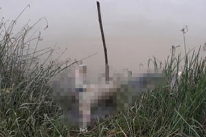 Tìm thấy thi thể nam sinh lớp 10 nghi nhảy cầu tự tử