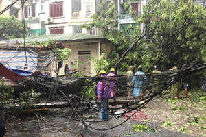 Nhiều cây lớn, cột điện đổ tại Hà Nội do ảnh hưởng bão số 3 Nhiều cây lớn, cột điện đổ tại Hà Nội do ảnh hưởng bão số 3