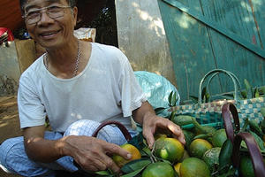 Mùa xuân "đếm tiền mỏi tay" của các tỷ phú cam Cao Phong