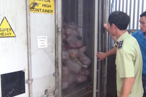 Đồng Nai: Phát hiện lượng lớn thịt nhiễm dịch tả lợn Châu Phi