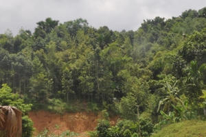 Hà Giang: Hai bố con sát hại chú ruột vì mê tín