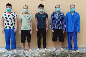 Hà Giang: Khởi tố, bắt giam 5 đối tượng trong vụ chặt hạ 134 cây gỗ nghiến