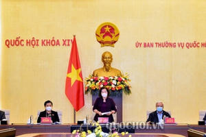 Lên kế hoạch chọn nhân sự bầu 500 đại biểu Quốc hội khoá mới