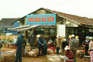 Năm Hợi, về xứ Quảng nghe kể chuyện nghề bồng heo lấy may Năm Hợi, về xứ Quảng nghe kể chuyện nghề bồng heo lấy may