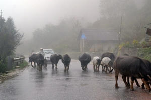 Dự báo thời tiết ngày 12/10: Chiều mai không khí lạnh sẽ ảnh hưởng yếu đến vùng núi Bắc Bộ