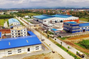 Kiểm tra phản ánh việc cấp giấy phép cho DN tại Hải Phòng