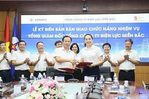 Nữ Tổng Giám đốc đầu tiên trong lịch sử ngành Điện