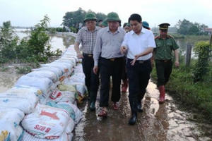 Hà Nội tăng cường kiểm tra đê, kè để kịp thời xử lý khi có sự cố