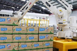 Thành Thành Công - Biên Hòa và Đường Quảng Ngãi đang kinh doanh thế nào?