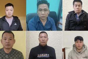 Đường dây đánh bạc, tổ chức đánh bạc 800 tỷ đồng bị triệt phá