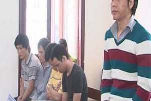 Lâm Đồng: Khai thác trái phép khối lượng gỗ lớn, nhóm đối tượng chia nhau 105 tháng tù