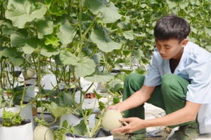 Bộ Chỉ huy Quân sự tỉnh Bà Rịa - Vũng Tàu sơ kết công tác Hậu cần - Tài chính