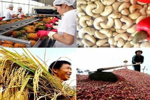 Sức mạnh nông nghiệp