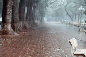 Dự báo thời tiết ngày 06/01: Mưa nhỏ vẫn tiếp diễn ở các tỉnh phía Bắc Dự báo thời tiết ngày 06/01: Mưa nhỏ vẫn tiếp diễn ở các tỉnh phía Bắc