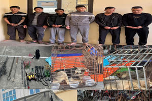 Triệt phá ổ nhóm chuyên trộm cắp chó, bắt giữ 6 đối tượng ở Thanh Hoá Triệt phá ổ nhóm chuyên trộm cắp chó, bắt giữ 6 đối tượng ở Thanh Hoá