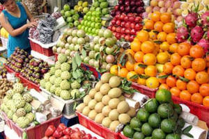 Kim ngạch hàng hóa nhập khẩu tháng 1 giảm, ước đạt 19,1 tỷ USD