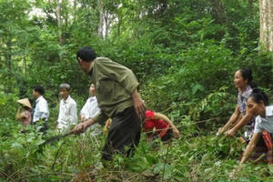 Nghệ An: Thu hồi hơn 7.000 ha đất của nông, lâm trường giao địa phương quản lý