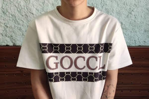 Cao Bằng: Bắt đối tượng cướp giật tài sản trong đêm