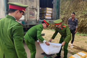 Ô tô đầu kéo vận chuyển hơn 12,5 tấn thực phẩm đông lạnh không rõ nguồn gốc