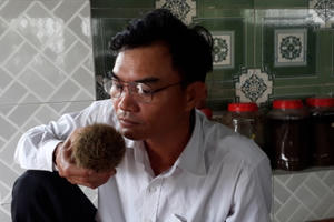 Bình Phước: Người dân tìm thấy một vật thể nghi là cát lợn có giá trị kinh tế