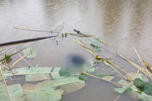 Nghệ An: Phát hiện cụ bà tử vong dưới ao cá