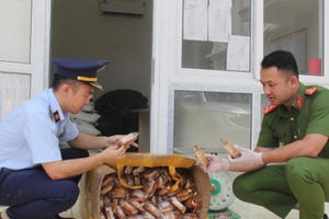 Thanh Hóa xử lý 236 vụ buôn lậu trong tháng 10/2022