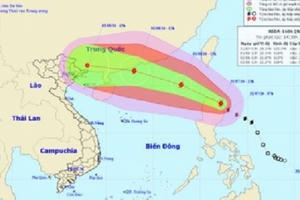 Sau bão số 1, các địa phương khẩn trương ứng phó với cơn bão số 2