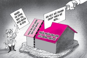 Dì ghẻ, con chồng lôi nhau ra tòa tranh thừa kế