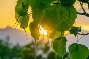 Hóa giải tức giận theo nguyên tắc chữ Nhẫn của nhà Phật