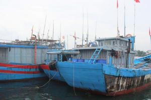 Áp thấp đe dọa 129 tàu cá cùng 3.000 lao động còn hoạt động trên biển Áp thấp đe dọa 129 tàu cá cùng 3.000 lao động còn hoạt động trên biển