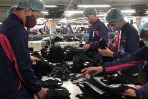 5 lĩnh vực kinh doanh sẽ “lên ngôi” trong năm 2020