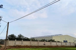 Hưng Yên: Xử lý nghiêm Chủ tịch UBND xã Thọ Vinh cho thuê đất công trái thẩm quyền