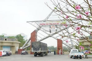 Hải Dương vận động người dân vui Xuân, đón Tết tại nhà