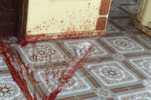 Khiếp đảm cảnh côn đồ liên tiếp ném bom xăng thiêu sống nhà dân trong đêm!