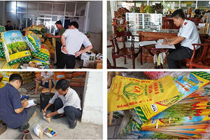 Lúa thực phẩm "hô biến" thành lúa giống