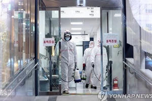 Hàn Quốc có gần 900 ca nhiễm Covid-19