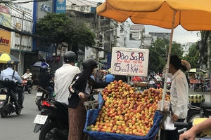 ‘Gắn mác’ đào Sapa đào Trung Quốc bán la liệt tại Sài Gòn