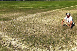 Chủ động ứng phó với nguy cơ hạn hán, thiếu nước, xâm nhập mặn