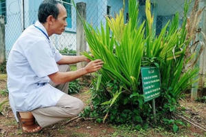 Bác sĩ phá bỏ hủ tục 'vượt cạn' giữa rừng