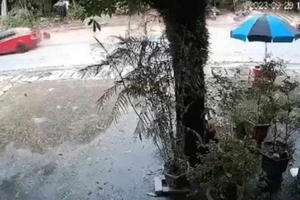 Video ô tô húc bay mẹ con trên Quốc lộ 7A tại Nghệ An