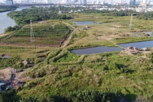 Vì sao nhiều cán bộ văn phòng Thành ủy TPHCM bị kỷ luật?