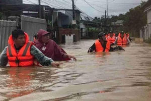 300 tấn trị giá 52 tỷ trôi theo dòng lũ